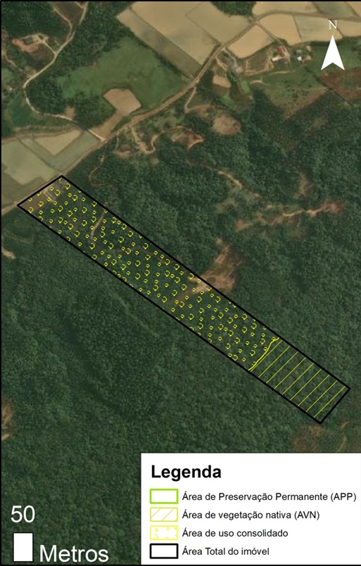 PROJETO SR. NELSON – 4205159 - Additional Image